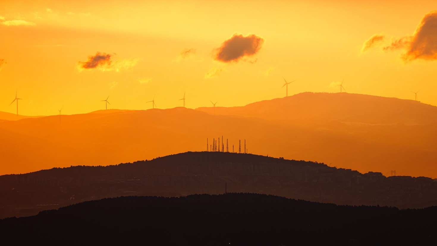 The Role of Businesses in Planetary Regeneration