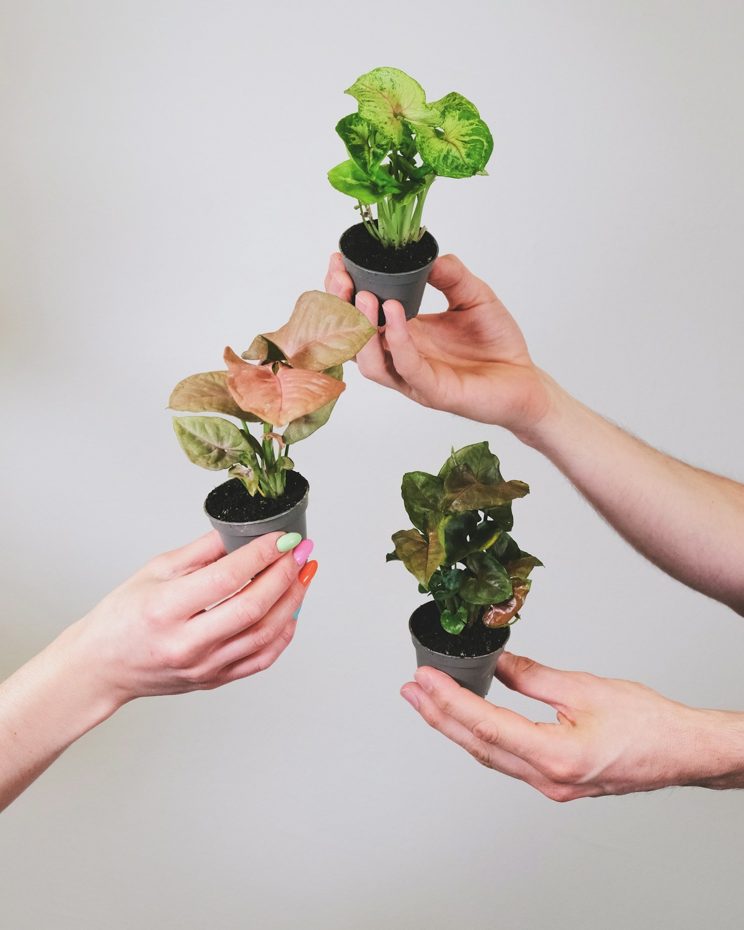 How to Align Profitability with Purpose in Leadership